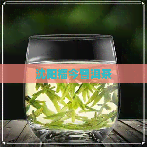 沈阳福今普洱茶