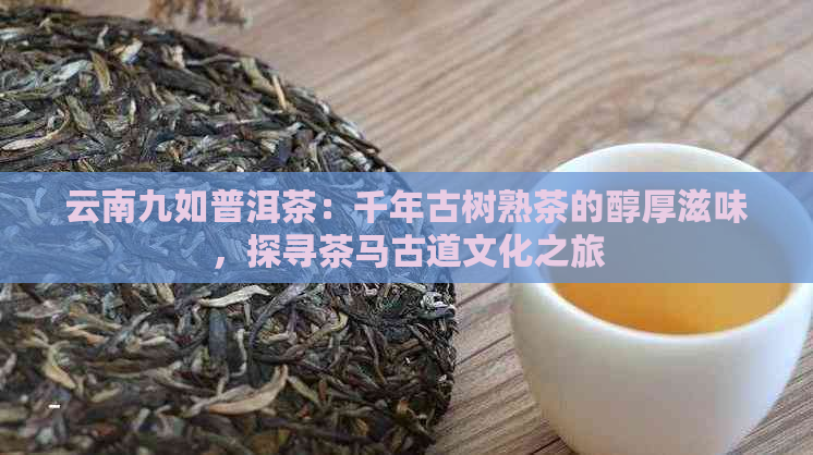 云南九如普洱茶：千年古树熟茶的醇厚滋味，探寻茶马古道文化之旅