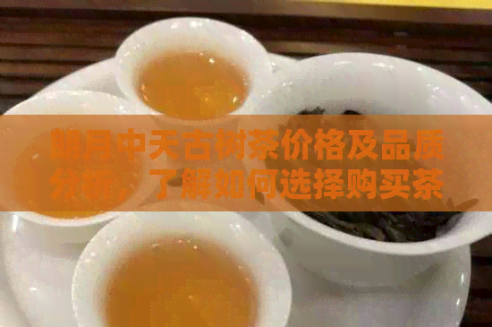 朗月中天古树茶价格及品质分析，了解如何选择购买茶叶