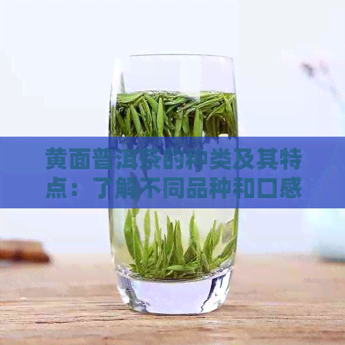 黄面普洱茶的种类及其特点：了解不同品种和口感