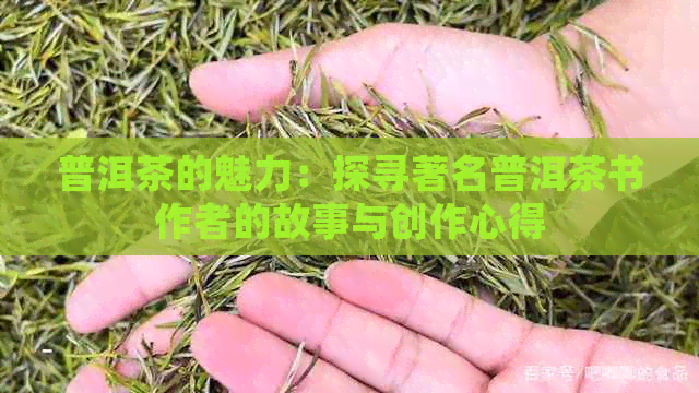 普洱茶的魅力：探寻著名普洱茶书作者的故事与创作心得