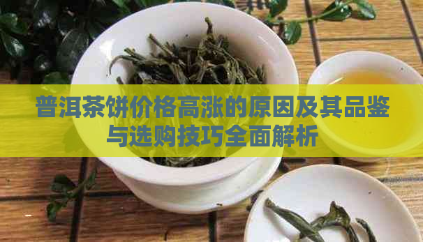 普洱茶饼价格高涨的原因及其品鉴与选购技巧全面解析