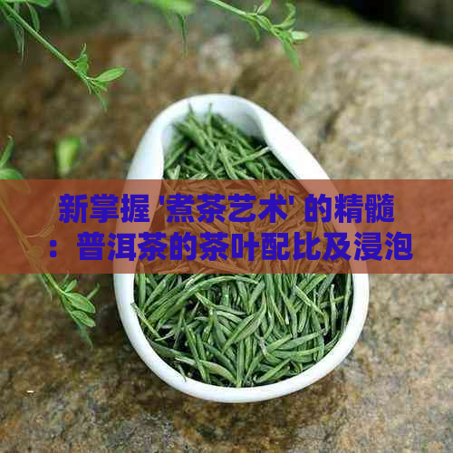 新掌握 '煮茶艺术' 的精髓：普洱茶的茶叶配比及浸泡时间