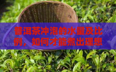 普洱茶冲泡的水量及比例，如何才能煮出理想的口感？