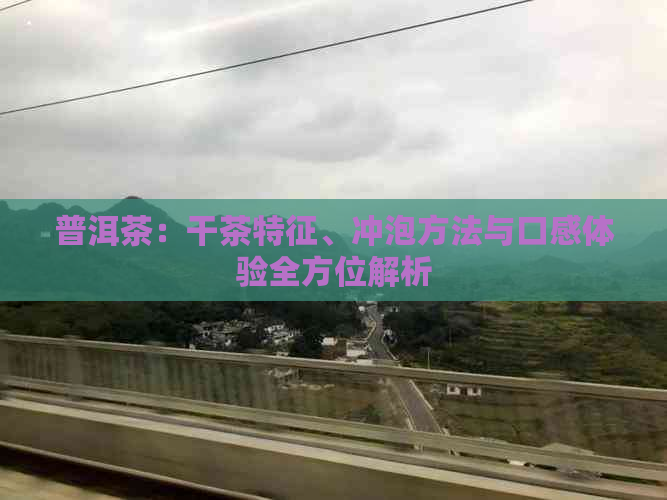 普洱茶：干茶特征、冲泡方法与口感体验全方位解析