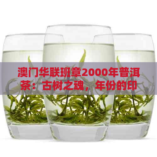 华联班章2000年普洱茶：古树之魂，年份的印记