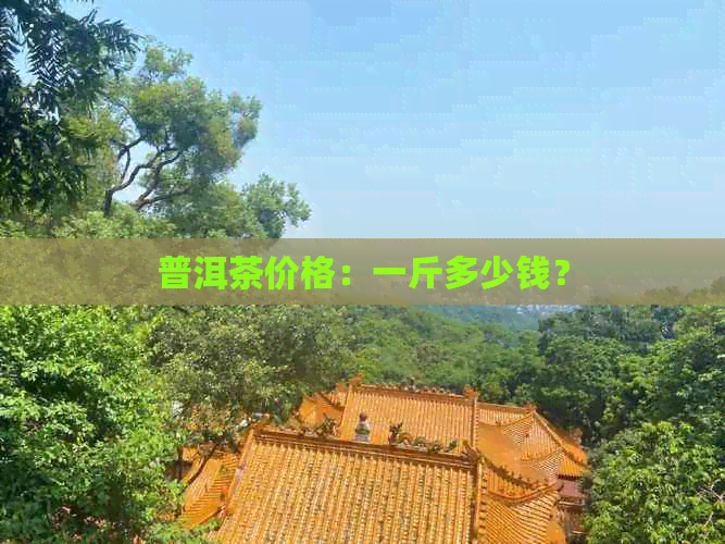 普洱茶价格：一斤多少钱？