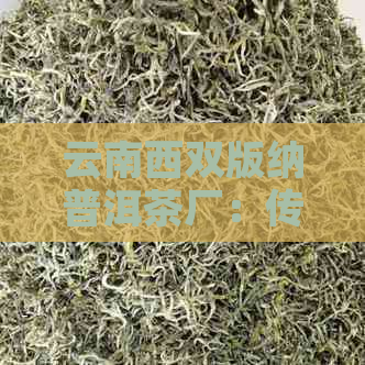 云南西双版纳普洱茶厂：传承古树普洱，打造纯正口感