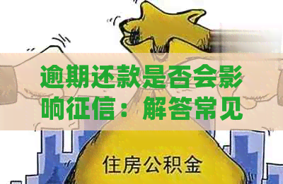 逾期还款是否会影响：解答常见疑虑，保障用户权益