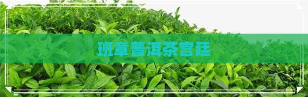 班章普洱茶宫廷