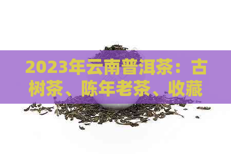 2023年云南普洱茶：古树茶、陈年老茶、收藏投资与品鉴指南