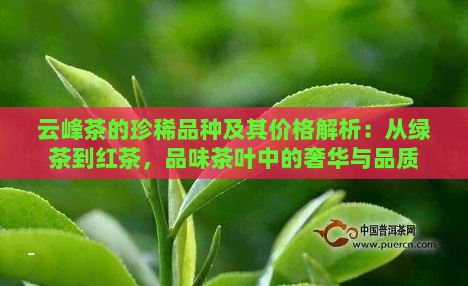 云峰茶的珍稀品种及其价格解析：从绿茶到红茶，品味茶叶中的奢华与品质