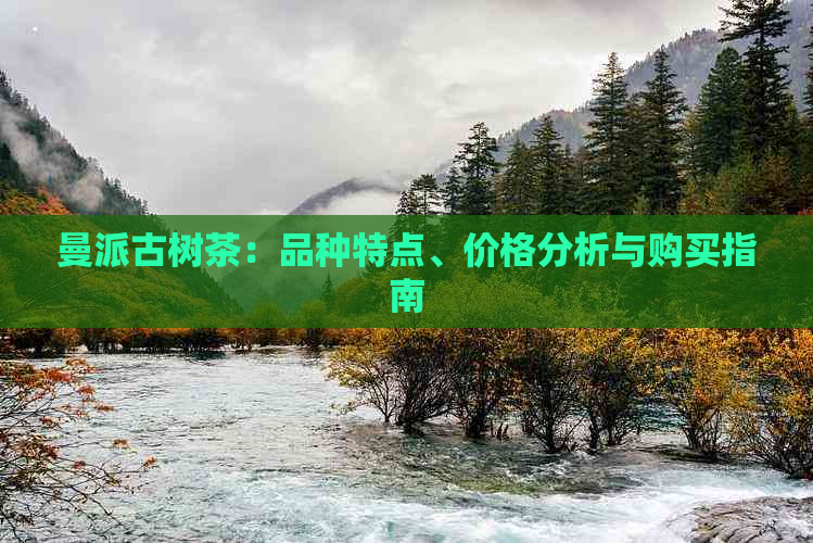 曼派古树茶：品种特点、价格分析与购买指南