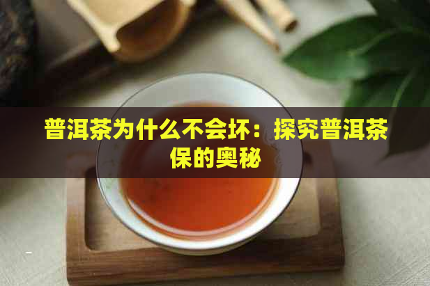 普洱茶为什么不会坏：探究普洱茶保的奥秘