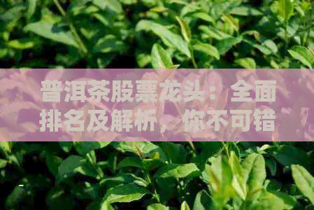 普洱茶股票龙头：全面排名及解析，你不可错过的茶叶相关股