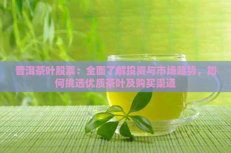 普洱茶叶股票：全面了解投资与市场趋势，如何挑选优质茶叶及购买渠道