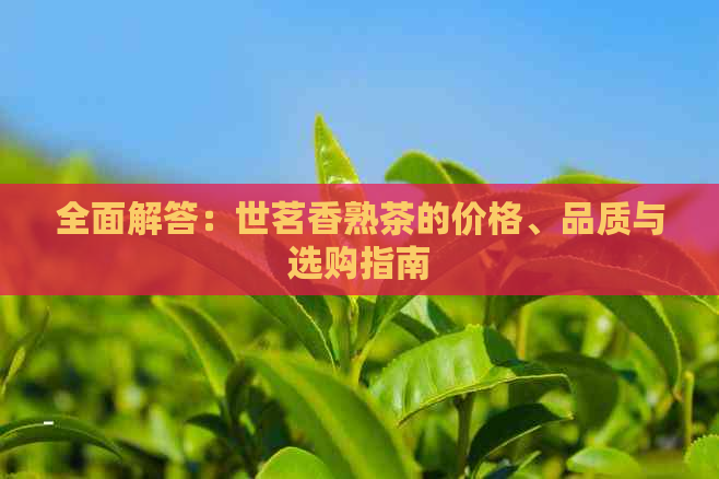 全面解答：世茗香熟茶的价格、品质与选购指南