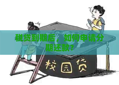 税贷到期后，如何申请分期还款？