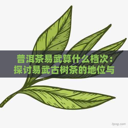 普洱茶易武算什么档次：探讨易武古树茶的地位与价值