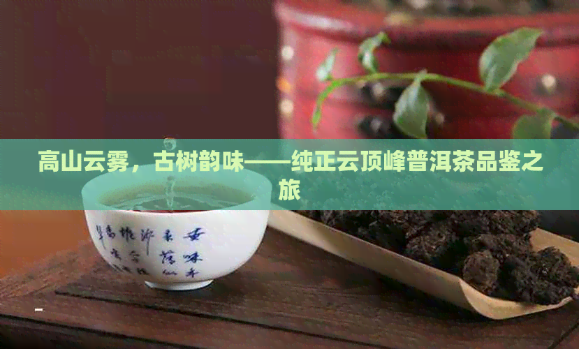 高山云雾，古树韵味——纯正云顶峰普洱茶品鉴之旅