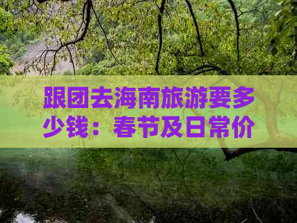 跟团去海南旅游要多少钱：春节及日常价格一览（每日每月）