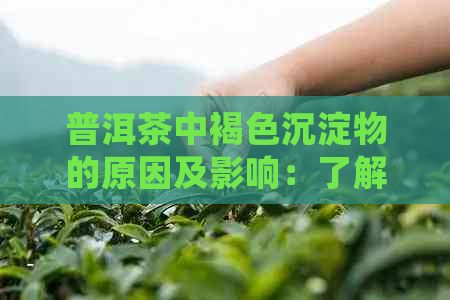 普洱茶中褐色沉淀物的原因及影响：了解这些有助于您正确品鉴和保存熟普洱茶