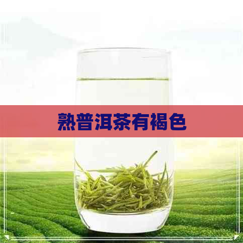 熟普洱茶有褐色