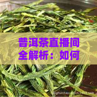 普洱茶直播间全解析：如何参与互动、品鉴茶叶与了解泡茶技巧