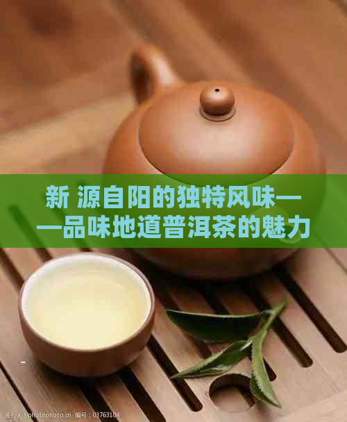 新 源自阳的独特风味——品味地道普洱茶的魅力