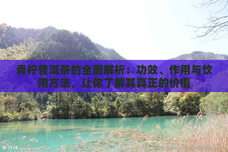 青柠普洱茶的全面解析：功效、作用与饮用方法，让你了解其真正的价值