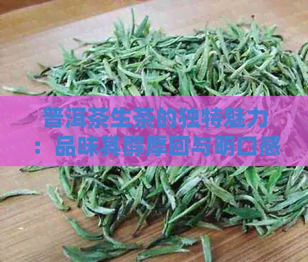 普洱茶生茶的独特魅力：品味其醇厚回与明口感