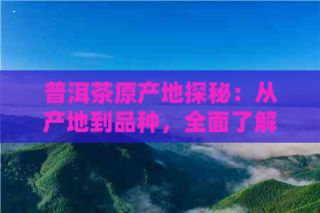 普洱茶原产地探秘：从产地到品种，全面了解普洱茶的魅力与制作过程