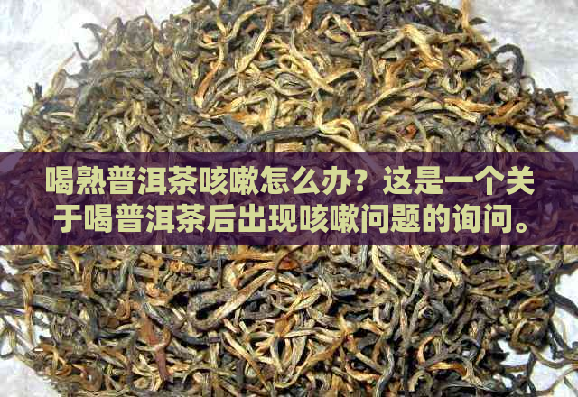 喝熟普洱茶咳嗽怎么办？这是一个关于喝普洱茶后出现咳嗽问题的询问。