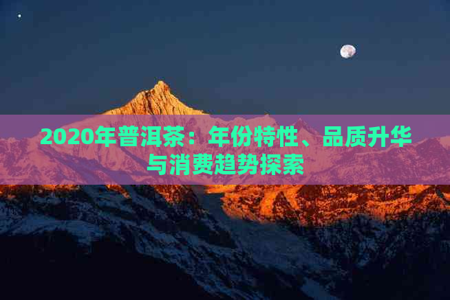 2020年普洱茶：年份特性、品质升华与消费趋势探索