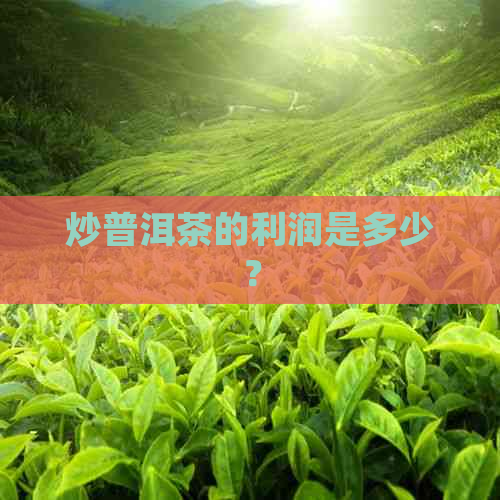 炒普洱茶的利润是多少？