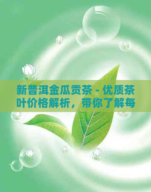 新普洱金瓜贡茶 - 优质茶叶价格解析，带你了解每斤的实价！