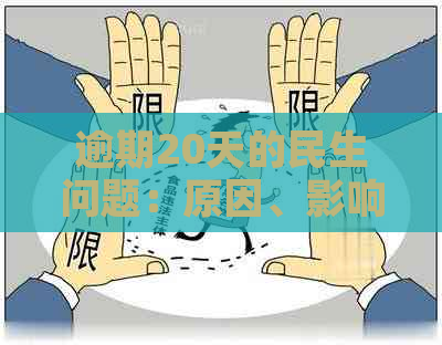 逾期20天的民生问题：原因、影响与解决之道