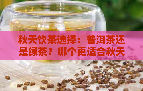 秋天饮茶选择：普洱茶还是绿茶？哪个更适合秋天的气候与健？