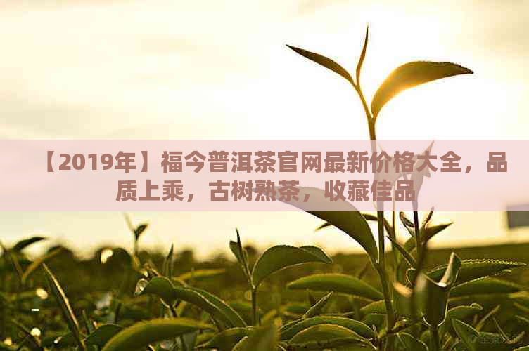 【2019年】福今普洱茶官网最新价格大全，品质上乘，古树熟茶，收藏佳品