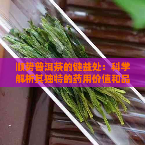 顺势普洱茶的健益处：科学解析其独特的药用价值和品饮魅力