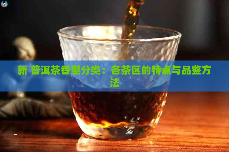 新 普洱茶香型分类：各茶区的特点与品鉴方法