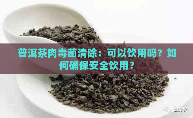 普洱茶肉菌清除：可以饮用吗？如何确保安全饮用？