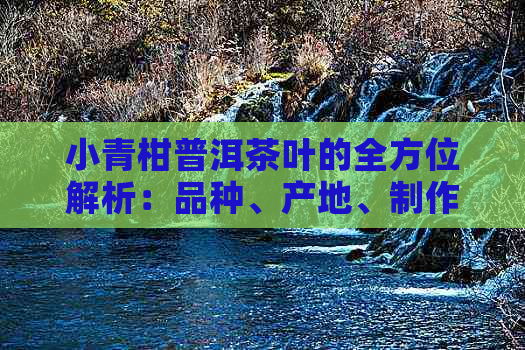 小青柑普洱茶叶的全方位解析：品种、产地、制作工艺、功效与品饮方法