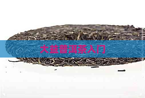 大益普洱茶入门