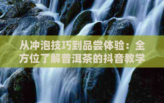 从冲泡技巧到品尝体验：全方位了解普洱茶的抖音教学