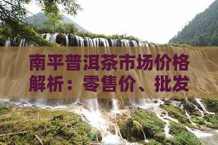 南平普洱茶市场价格解析：零售价、批发价及购买建议一应俱全