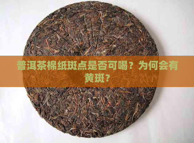 普洱茶棉纸斑点是否可喝？为何会有黄斑？