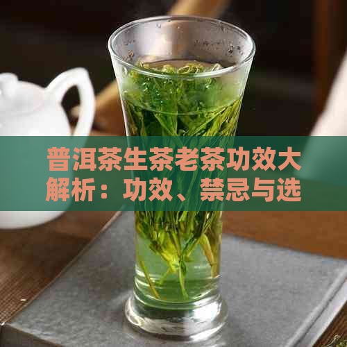 普洱茶生茶老茶功效大解析：功效、禁忌与选择