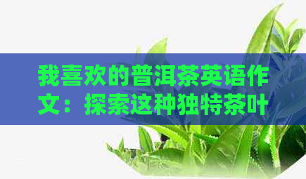 我喜欢的普洱茶英语作文：探索这种独特茶叶的魅力与文化意义