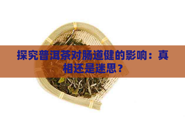 探究普洱茶对肠道健的影响：真相还是迷思？